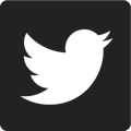 Twitter Logo